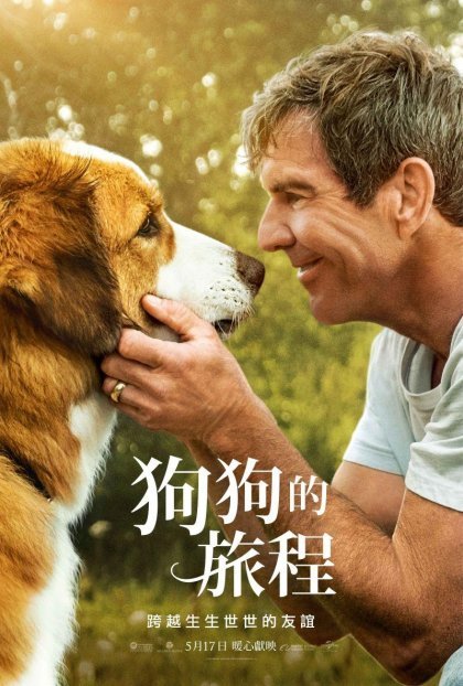 點我!看看影片被借走了沒?