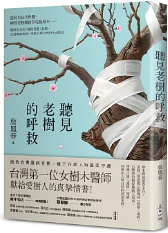 聽見老樹的呼救