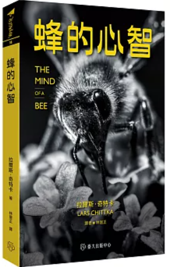 蜂的心智