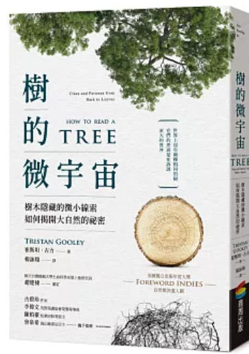 樹的微宇宙